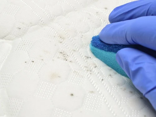 5 métodos infalibles para sacar manchas de tu colchón